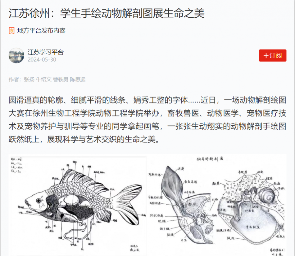 【学习强国】江苏徐州：学生手绘动物解剖图展生命之美